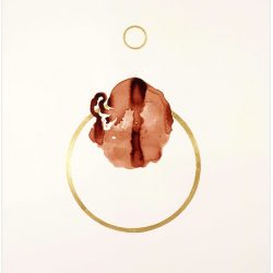 Placenta 2 by Ione Rucquoi